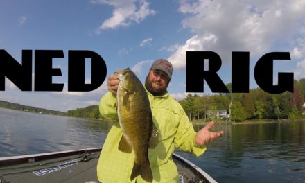 HOW TO NED RIG: COMPLETE TUTORIAL- HEADS, BAITS, TACKLE, BIG SMALLMOUTH BASS