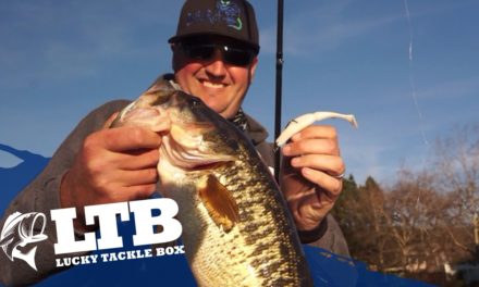 How To Fish A Swimbait For Bass