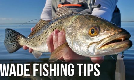 BlacktipH – How to Catch More Fish while Wade Fishing