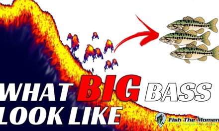 Identifying BIG Bass on Fish Finders MUST WATCH!
