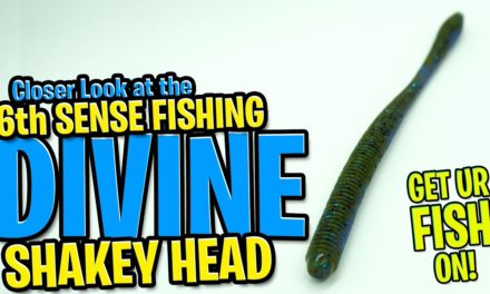 Largemouth Bass 6th Sense Fishing Divine Shakey Head Stick Worm