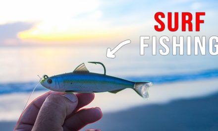Lawson Lindsey – Surf Fishing Ultra Clear Water For Big Fish