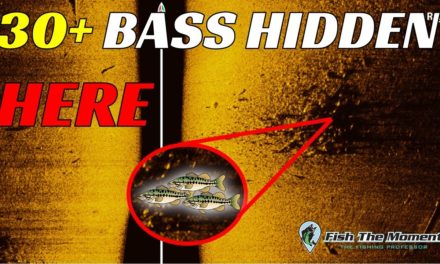 The Truth About Fish Finders No One Will Tell You | #Catch15