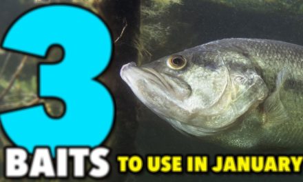 Three Bass Fishing Baits To Use in January to Catch Largemouth Bass