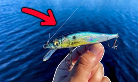 Lawson Lindsey – Using This Expensive Fishing Lure Is Like Cheating!