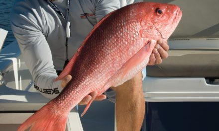 Venice Louisiana Red Snapper and Redfish Fishing the Oil Rigs