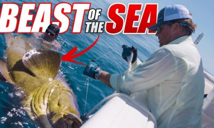 Scott Martin Pro Tips – We Caught the BEAST of the SEA!! – SMC 21-08