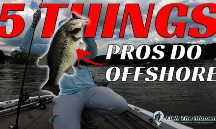 What Good Offshore Anglers Do and You Should Copy! | Simple Offshore Bass Fishing Tips