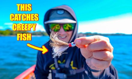 Lawson Lindsey – Catching Creepy and Bizarre Fish While Finesse Fishing Saltwater