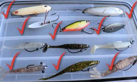Salt Strong | – Everything You Need To Bring On Your Inshore Saltwater Fishing Trip
