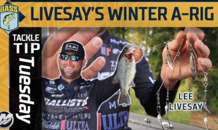 Bassmaster – Lee Livesay's NUMBER ONE lure for WINTER bass fishing