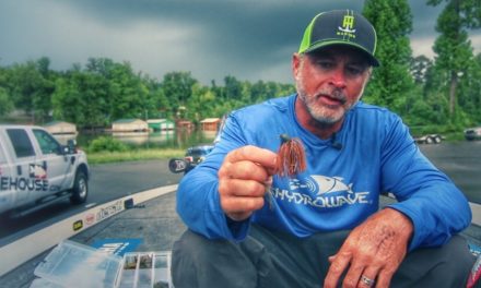 Why You Should Consider Using Tungsten Jigs