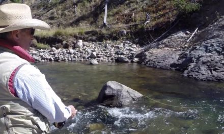 Dan Decible – Yellowstone Fishing