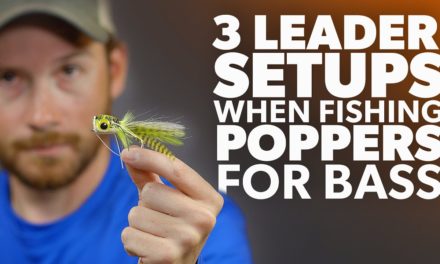 3 Leader OPTIONS When Fishing POPPERS For BASS