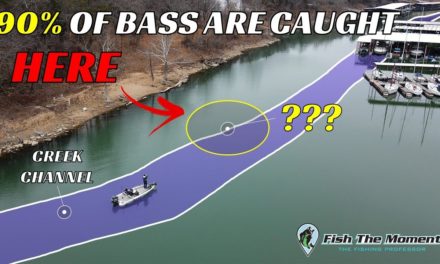 90% of Bass Live In THIS 10% of Your Lake | #Catch15