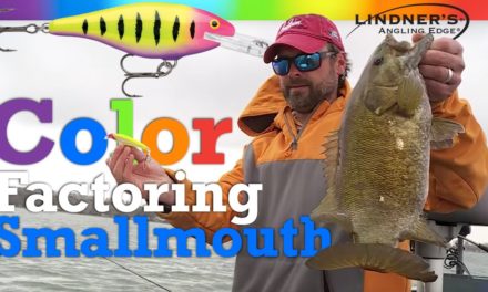 Color Factoring Smallmouth Bass!