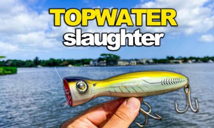 Lawson Lindsey – Fish Were Destroying Topwaters All Day! Fishing Inshore Docks, Seawalls and Bays