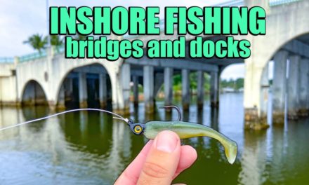 Lawson Lindsey – Fishing Bridges, Docks and Seawalls With Live Mullet and Lures