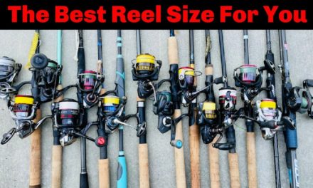 Salt Strong | – How To Choose The BEST Inshore Spinning Reel For You