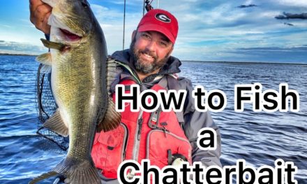 FlukeMaster – How to Fish a Chatterbait No Matter what Lake You Fish – Bass Fishing
