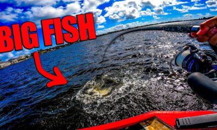 Lawson Lindsey – Inshore Popping and Dock Fishing for BIG Fish