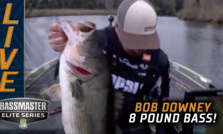 Bassmaster – St. Johns River: Bob Downey shakes up the leaderboard with an 8 pounder!