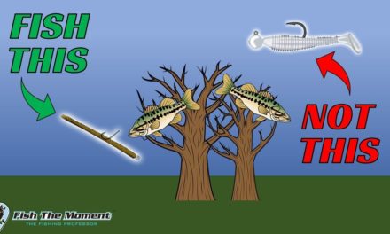 The Most Common Misconception About Catching Suspended Bass