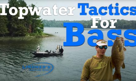 Topwater Tactics For Bass!