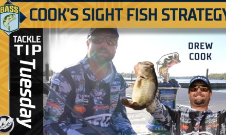 Bassmaster – Drew Cook's strategy for sight fishing BIG BASS