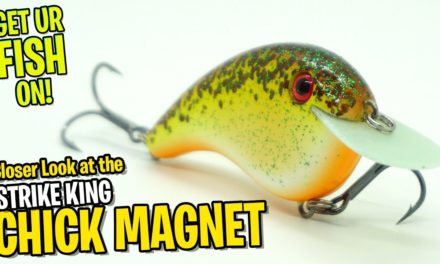 Flat Sided Sqaurebill Bass Fishing Crankbait Strike King Chick Magnet