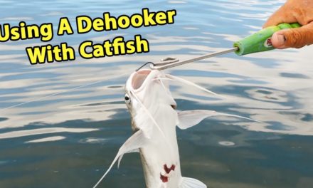 Salt Strong | – How To Unhook A Catfish With A Dehooker (Quick & Easy Way Without Getting Spined)