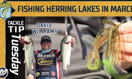 Bassmaster – How to fish a Blueback Herring lake in March (LAKE HARTWELL)
