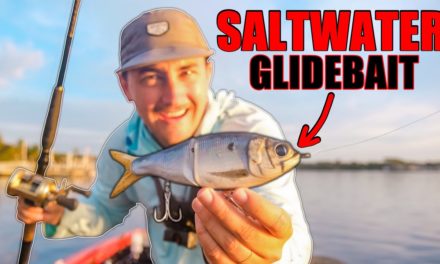 Lawson Lindsey – I Threw a Huge Glidebait in Saltwater and Fish CRUSHED It!