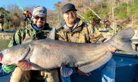 BlacktipH – MONSTER Catfish Fishing in Alabama