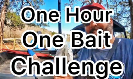 FlukeMaster – One Bait / One Hour Bank Fishing Challenge