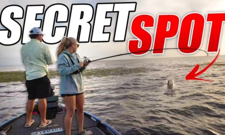 Scott Martin Pro Tips – Our SECRET SPOT on Lake Okeechobee!