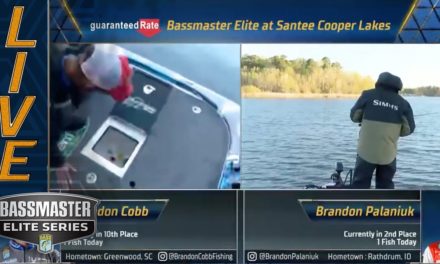 Bassmaster – Santee Cooper: Back-to-back catches for Cobb and Palaniuk