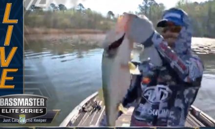Bassmaster – Santee Cooper: Cook with a 7-pounder
