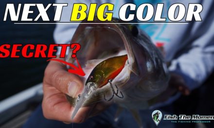 This Crankbait Color May Have Flown Under the Radar for YEARS