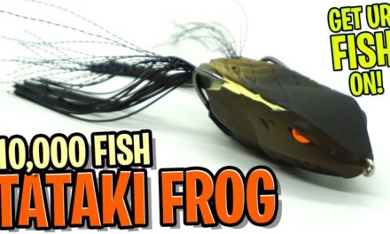 10,00 Fish Tataki Frog – Topwater Bass Fishing Frog Lure