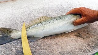 Salt Strong | – How To Fillet A Speckled Trout (And Remove The Skin & Bones)
