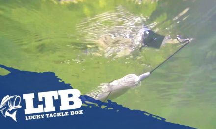 How to Fish for Spring Bass with a Buzzbait