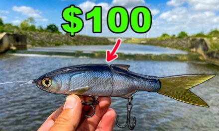 Lawson Lindsey – I Bought an EXPENSIVE Swimbait and It Was a HUGE Mistake