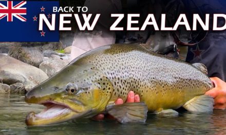 New Zealand Fly Fishing: A Brown Trout Adventure on Crystal Clear Rivers by Todd Moen