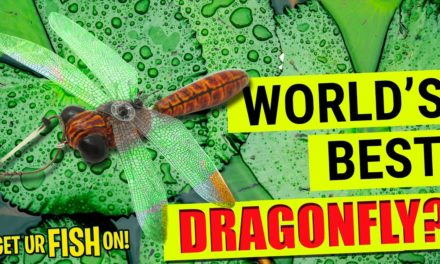 The Most REALISTIC BASS FISHING TOPWATER DRAGONFLY LURE OUT THERE!