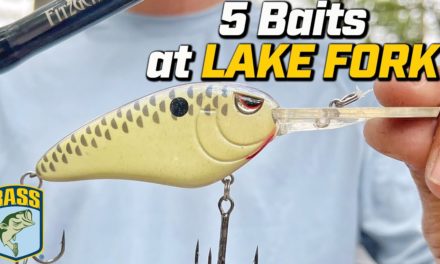 Bassmaster – 5 Baits to Watch this Summer at Lake Fork