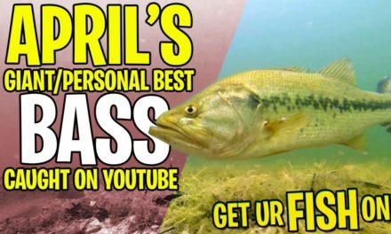 April 2022 BIG BASS CAUGHT on YouTube: PB's on YouTube: Bass Fishing