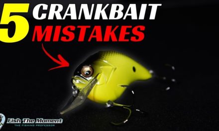 Avoid These Squarebill Crankbait Mistakes AT ALL COSTS