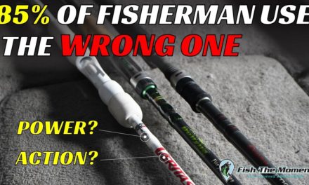 Common Fishing Rod Confusions Explained | Rod Action and Power Made Simple