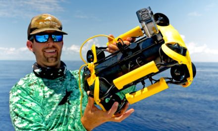 BlacktipH – FINDING Fish using Underwater Drones